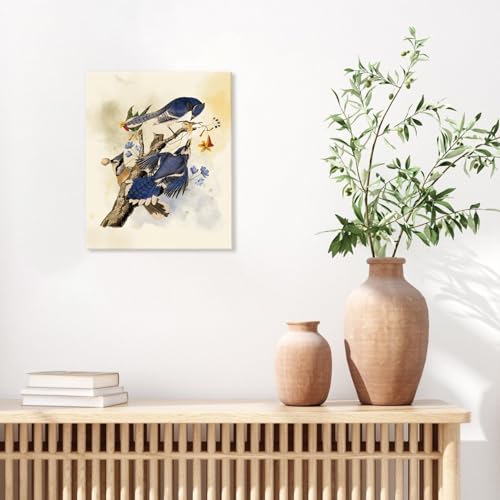 Image of CHDITB Vintage Bird Framed Canvas Wall Art, Spring Birds Illustration, Nature Wildlife Wall Decor, Botanical Bird Poster, Retro Watercolor Art Prints For Living Room Bedroom Kitchen Decor 8 inchX10 inchx6