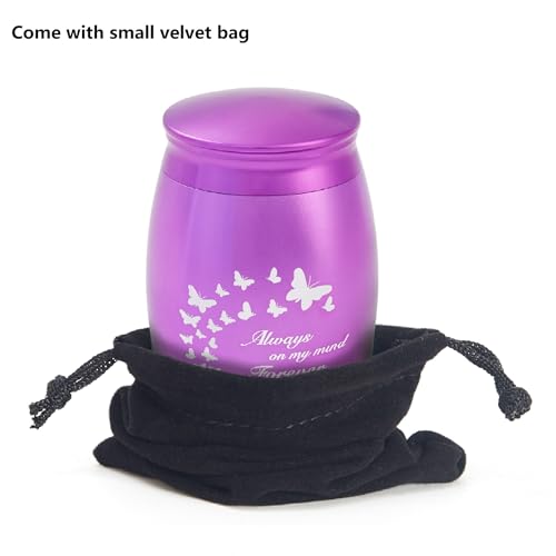 Image of Small Urns for Ashes for Female /Women /Mom /Mother /Grandma /Girl | 2.7Inch Mini Purple Butterfly Keepsake Urn for Ashes,Small Cremation Urns for Human Ashes(Aluminum)