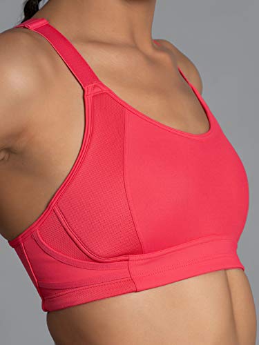 Image of Cult Women Sports Bra