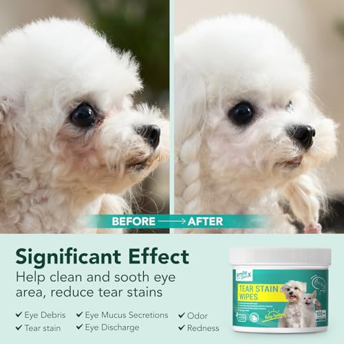 Eyewipesfordogscatshypoallergenicpeteyecleanerwipeswithplantenzymesoothingcleansingpeteyewipesforgentlyremoveeyedebrisdischargemucus100pcsunscent  Urban Country Home Decor Eye wipes for dogs cats hypoallergenic pet eye cleaner wipes with plant enzyme soothing cleansing pet eye wipes for gently remove eye debris discharge mucus 100 pcs unscent  urban country home decor