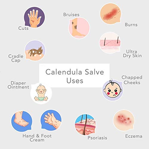 Green + Lovely Herbal Salve with Calendula + Comfrey - Organic Multi-Purpose Skin Cream, Bruise, Eczema Ointment - Beauty Intensive Moisturizer Sensitive Skin - (Unscented) - 1 oz