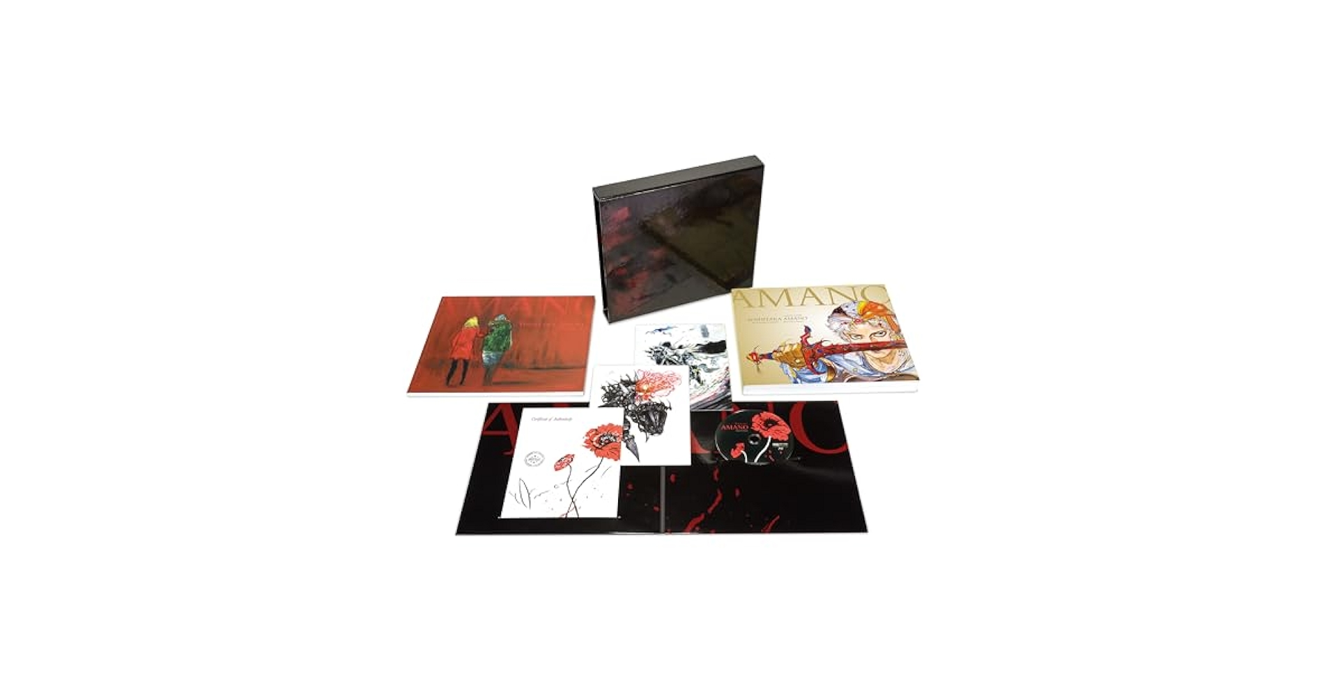 Amazon.com: Yoshitaka Amano: The Illustrated Biography
