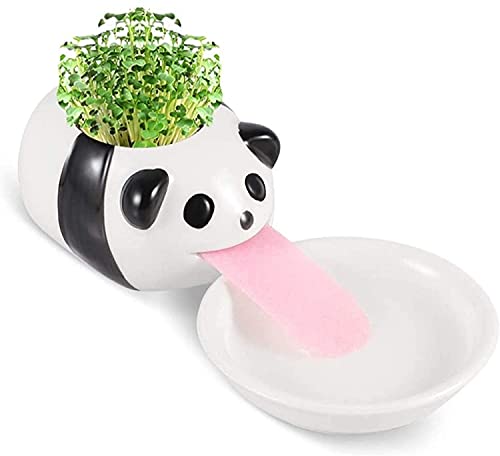 Self-Watering Planter