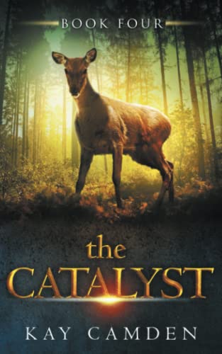 The Catalyst: 4 (The Alignment) view 2