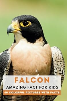 Falcon: Amazing Fact for Kids (Picture Book) (This Wonderful Planet)