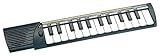 diamonica bontempi 19 tasti Giocattoli e modellismo Bontempi Organo Elettronico C25 Musicali Tastiere, Multicolore, 47663488035