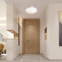 Amazon.co.jp : シーリングライト 小型 リモコン付き 2-4畳 20W形相当