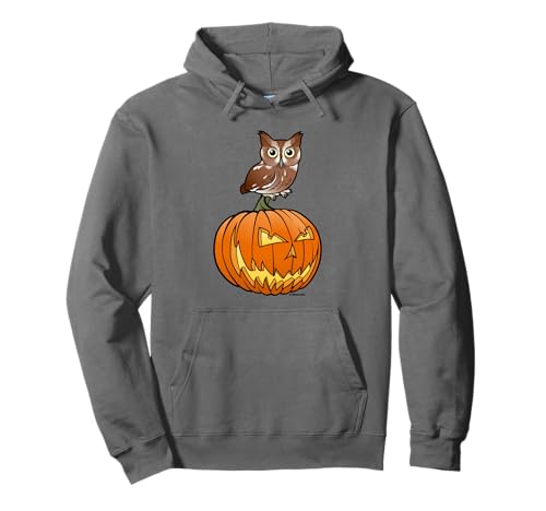 Halloween Owl & Jack-o-lantern | Cute Screech Owl & Pumpkin Pullover Hoodie