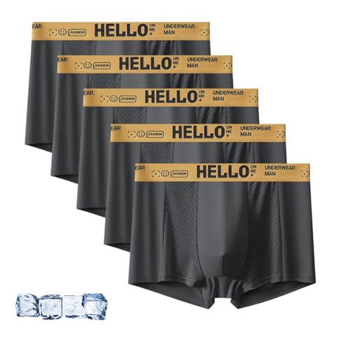 5 Packs Hello Mesh Mens Underwear, Fasqm Ice Fresh and Cool Mesh Trunks, Low Rise Breathable Fast-Dry Boxer Briefs for Men