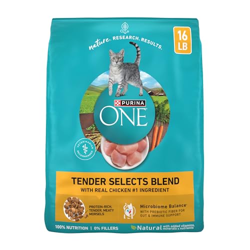 Purina ONE Tender Selects Dry Cat Food, Chicken, 16 lb Bag - image 1