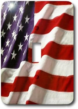 3dRose Janna Salak Designs Patriotic - Textured single toggle switch image 5