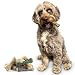 DOGBOSS 100% Natur Kauknochen speziell für kleine Hunderassen (2-10kg) in verschiedenen Geschmackssorten (10er Probierset 10 cm)