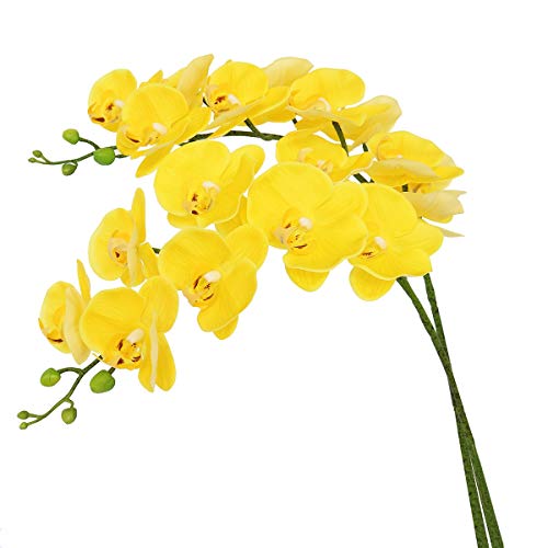 Htmeing 38 Inch Artificial Phalaenopsis Flowers Branches Real Touch (Not Silk) Orchids Flowers