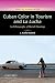Cuban Color in Tourism and La Lucha: An Ethnography of Racial Meanings (Issues of Globalization:Case Studies in Contemporary Anthropology)