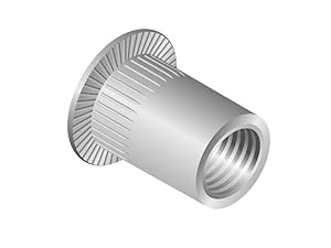 FRANTOS Blindnietmutter FK A2 M3x10,0 10 Stück