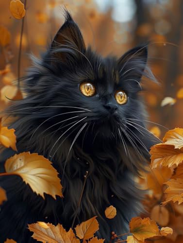 ペイントバイナンバー 猫 ナンバーペイント メープルリーフ 大人用 初心者向け 手塗り 塗り絵 ハンドメイドクラフトアート 簡単 DIY 数字油絵 セット 含む インテリア アクリル 水彩絵の具, インテリア 壁飾り ホームデコレーション ギフト 額縁付き