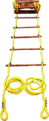 Image of Ladder 40 ft Yellow