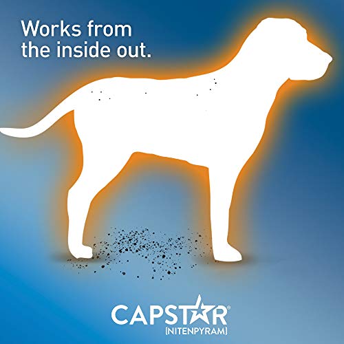 Capstar Flea Tablets For Dogs 2-25 Lbs., Count Of 12, 12 Ct #TOP6