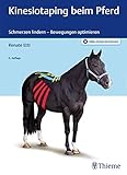  Kinesiotaping beim Pferd: Schmerzen lindern - Bewegungen optimieren