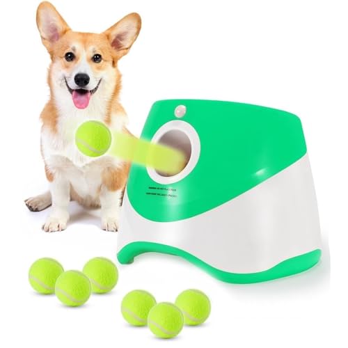 [AOKOWN]{[`[  yVz {[  @ 3ނ̔ˋ ejX{[3t ^sP ^`^p O/pߋ  mߋ