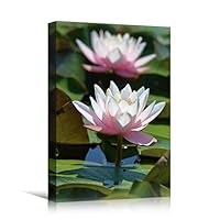 Canvas Wall Art Water Lily Bohemian Colorful Floral Group Multicolor Photography - 12x18 inches