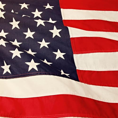 『Chi soffia sul fuoco della violenza politica in USA』のカバーアート