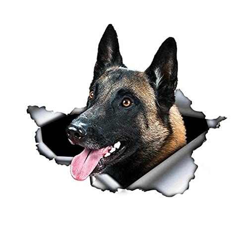 MDGCYDR Adesivo per Auto Cane 20Cm Belga Malinois