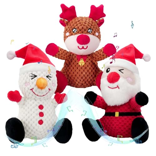 BLSCC 3pbN  NX}X  T^ - Ⴞ - giJC ʂ ނ ^  ^ 킢 NX}X q ʂ C^NeBu v ^t  ނ Mtg