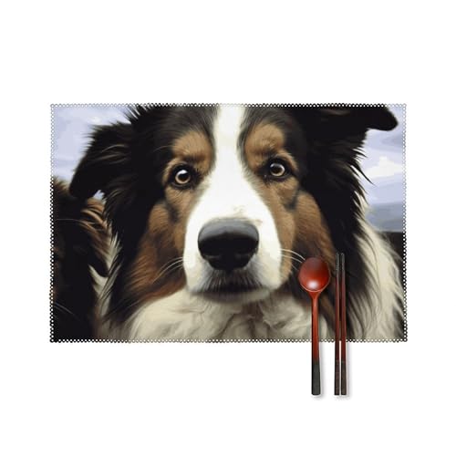 Set de table toile chien de mouton 45x30cm infroissable et facile à nettoyer - 2