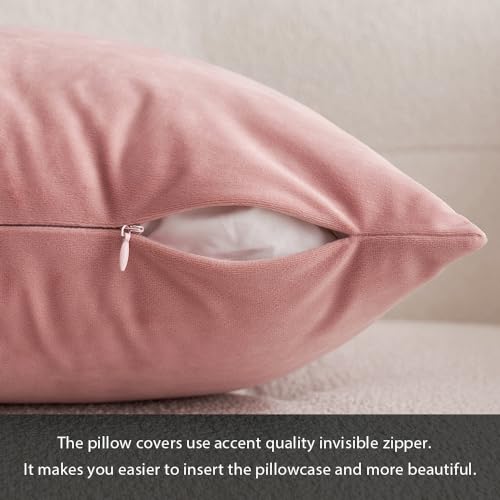 Image of MIULEE Velvet Throw Pillow Covers 12x20 Inch, Pack of 2 - Dusty Pink, Soft Solid Lumbar Decorative Pillow Covers Modern Luxury Home Decor for Spring Couch Sofa Bedroom Livingroom
