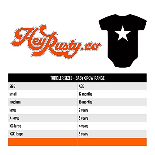 Queen Baby Grow Classic Crest Band Logo Official Black 0 To 24 Months Size Large (9-12 months)2