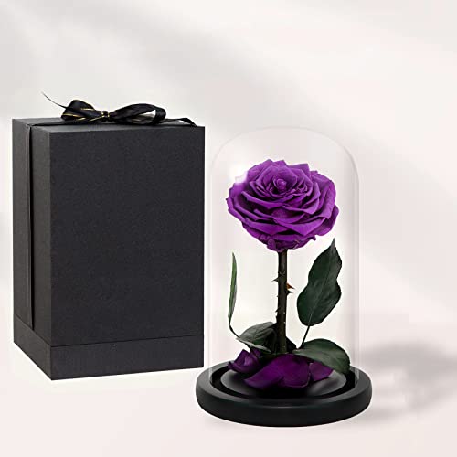 Natroses Handmade Preserved Roses In Glass Dome, Long Lasting Purple Roses Real, Glass Rose For Valentine’s Day, Christmas, Mother’s Day, Birthday, Anniversary, Wedding, Thanksgiving #TOP5