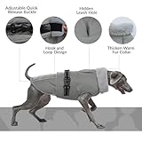 Hundejacke Kleine Hunde, Wintermantel Fleece für Hunde Hundemantel Wasserdicht Hundejacke Französische Bulldogge Warme Weste Winter Hundekleidung für Hunde(Grau, S)