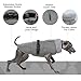 Hundejacke Kleine Hunde, Wintermantel Fleece für Hunde Hundemantel Wasserdicht Hundejacke Französische Bulldogge Warme Weste Winter Hundekleidung für Hunde(Grau, S)
