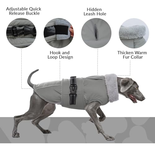 Hundejacke Kleine Hunde, Wintermantel Fleece für Hunde Hundemantel Wasserdicht Hundejacke Französische Bulldogge Warme Weste Winter Hundekleidung für Hunde(Grau, S)