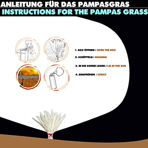 KUNSTIFY pampas decorative, fiori secchi