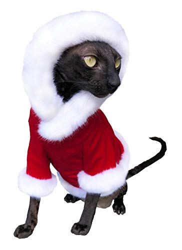 Kotomoda Sphynx - Sudadera con capucha para gato sin pelo de Papá Noel Klaus Cover