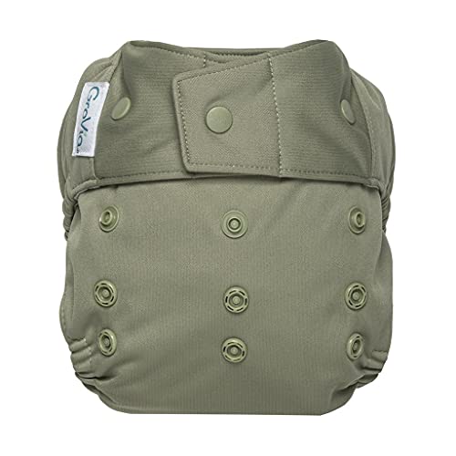 Image of GroVia Reusable Hybrid Baby Cloth Diaper Snap Shell (Fern), One Size