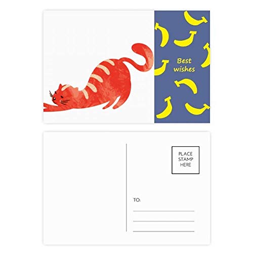 Carte postale de chat aquarelle pour messages personnalisés sans bavure Set de 20
