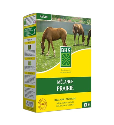 BHS GPR1 | 1kg | 100 m² | Gazon Melange Prairie | Destiné aux zones extensives qui ne nécessitent pas d’entretien | Pour le pâturage des animaux |...