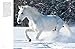 Horses (Mini Encyclopedias)