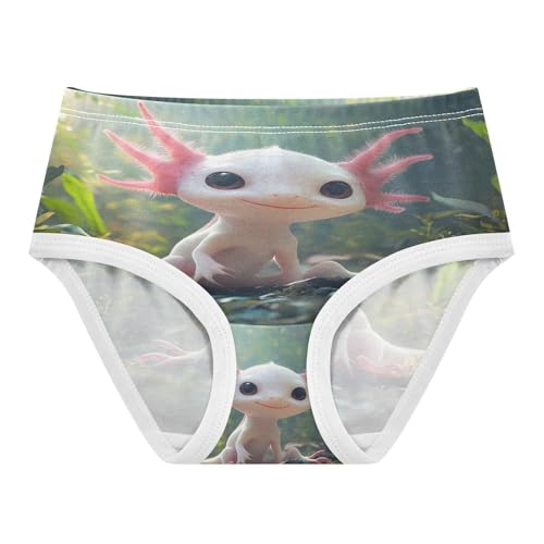 Cute Axolotl Undersea Toddler Girls's Underwear 2T 202b8845