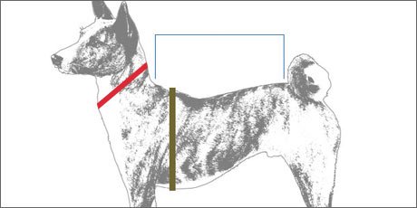 Dog Navy Hoodie Pullover X Small - Pet Sweatshirt