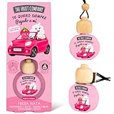 The Fruit Company Ambientador Coche FRESA NATA Absorbe Olores Para Rejilla o Colgante 0% Alcohol Con Extractos Naturales