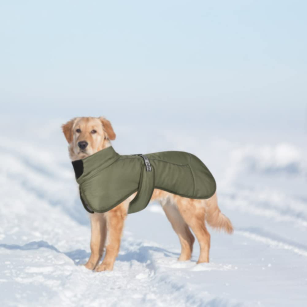 Manteaux pour Chien Imperméable Coupe Hiver Bandes Réfléchissantes Veste pour Chiens de Taille Moyenne avec Trou de Harnais Chiot de Compagnie Temps Froid Tenue Vêtements Gilet (4XL, Vert)