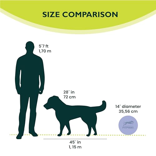 Fitpaws Balance-Disc für Hunde, 14', Violett