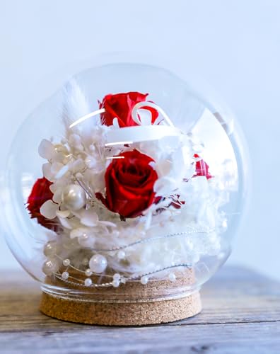 t[Xg vU[uht[ ͂Ȃ [YVV b܎܃fUCi[ďC t[Mtg o v[g Mtg aj LO v[g ̓ lC w   (NC[bh, M)