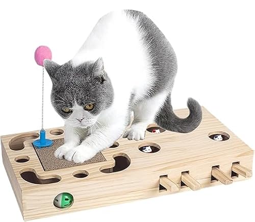 L  L̂ 3-in-1 L܂ƂƂ lV O@LV ؐ ނ mߋ ybgObY ybgpi ؐ mb̒b ^s XgX