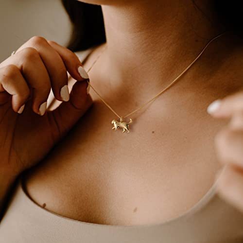 Cute Necklaces for Women - Inspirational Elephant & Butterfly Designs - Dainty Cat Lovers Gifts4