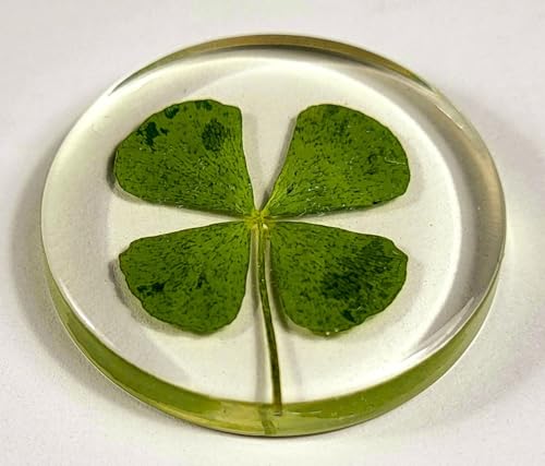 Image of 33mm Real Four Leaf Clover Shamrock in Round Crystal Clear Lucite Resin Token Specimen St.Patrick's Day inchLucky Leaf inch Coin Gift Crafts Collection for Botany Science Education & Desk Ornament Display